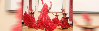 Flamenco Dance Show